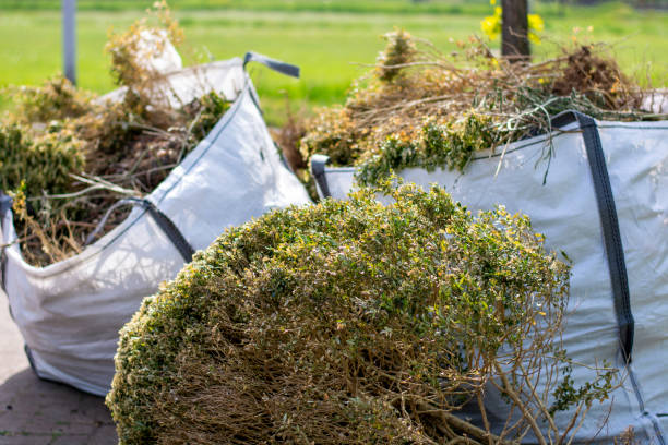 Best Moving and Downsizing Cleanouts  in Coventry Lake, CT